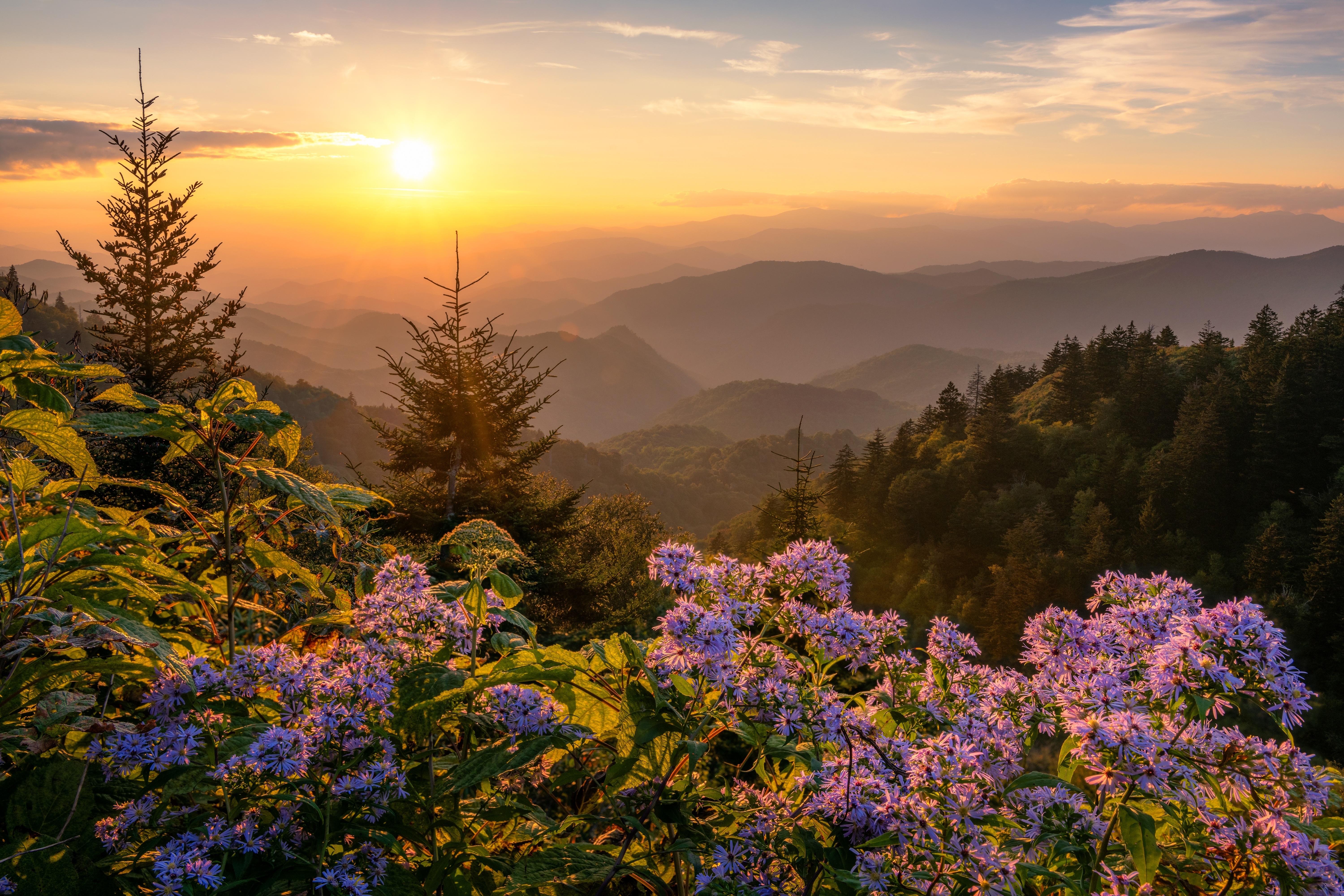 shutterstock_2481201371.jpg